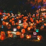 Eine große Gruppe von Jack O'Lanterns leuchtet bunt im auf einem Hügel im dunklen Wald.