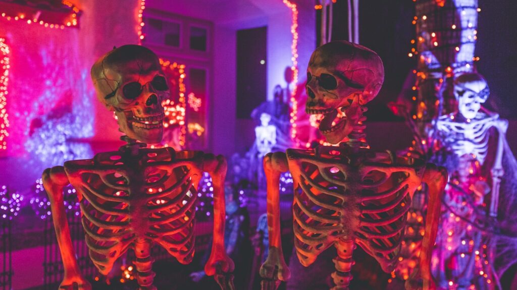 Zwei pink und orange angeleuchtete Skelette schauen sich lachend an. Im Hintergrund befindet sich ein ein Haus mit Licherketten und weiteren Skeletten geschmückt und ebenfalls pink, lila und orange beleuchtet. Ein Hintergrundskelett ist als Pirat gekleidet, auch Spinnweben sind zu erkennen.