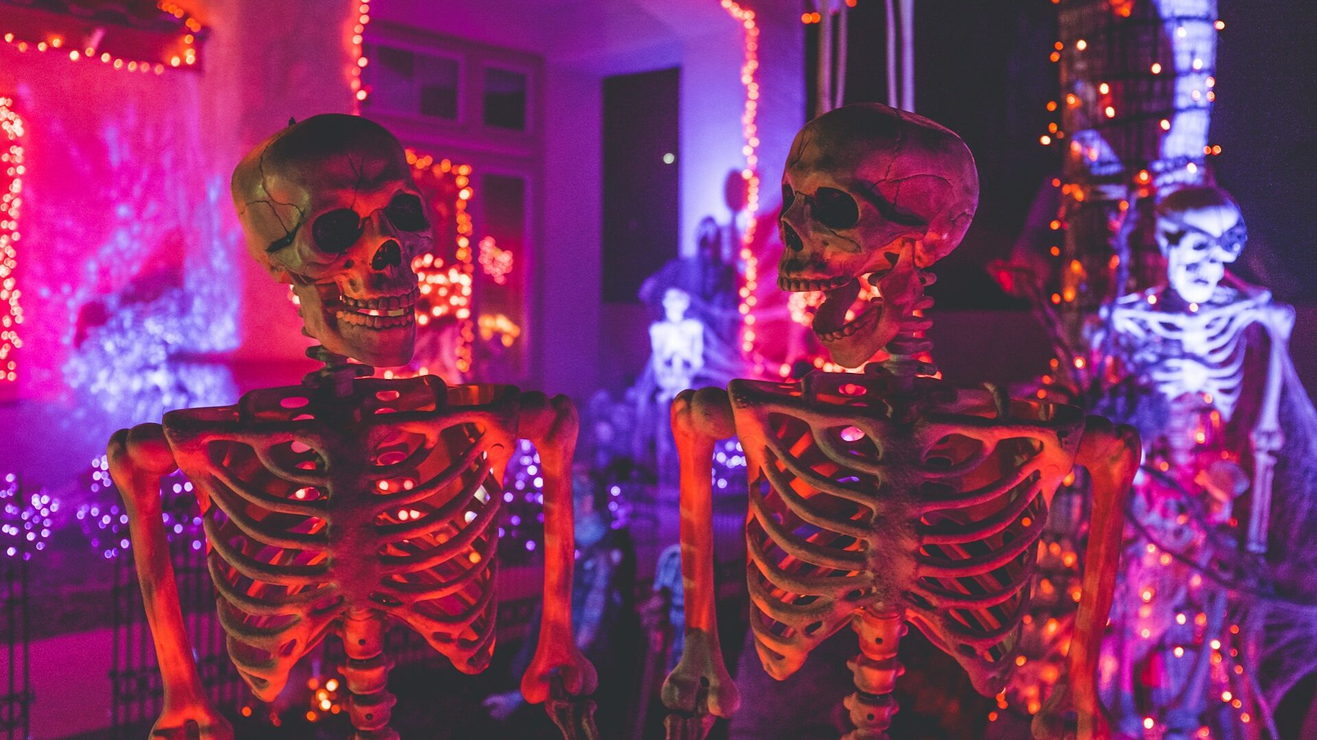 Zwei pink und orange angeleuchtete Skelette schauen sich lachend an. Im Hintergrund befindet sich ein ein Haus mit Licherketten und weiteren Skeletten geschmückt und ebenfalls pink, lila und orange beleuchtet. Ein Hintergrundskelett ist als Pirat gekleidet, auch Spinnweben sind zu erkennen.
